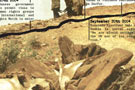 Darfur thumbnail