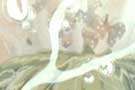 Spirited Away/Flaming June thumb